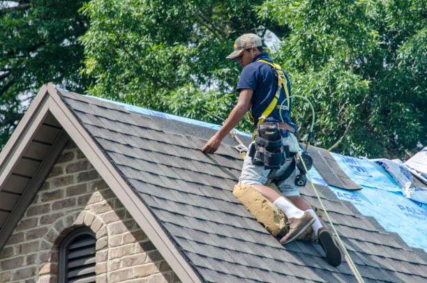 Quick and Trustworthy Emergency Roof Repair Services in Plum Grove, TX